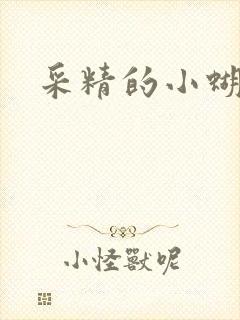 采精的小蝴蝶