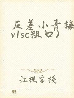 反差小青梅(1v1sc粗口)封面
