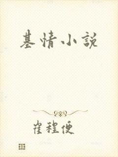 基情小说