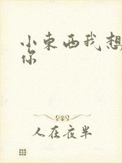 小东西我想弄坏你