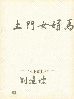 上门女婿马四辈封面
