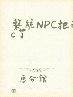 系统NPC把我c了