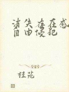 消失存在感消失自由侵犯封面