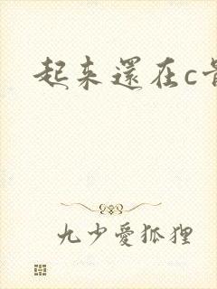 起来还在c骨科