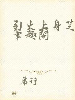 引火上身芝麻糖笔趣阁封面
