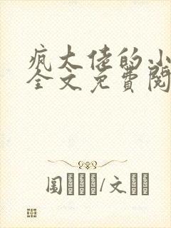 疯大佬的小玩物全文免费阅读小说封面