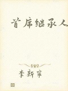 首席继承人封面