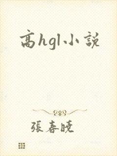 高hgl小说封面