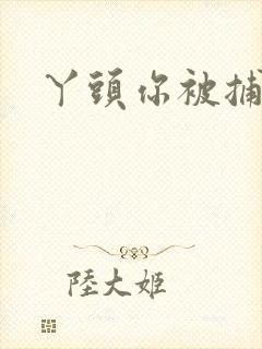 丫头你被捕了