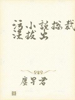 污小说总裁整夜没拔出封面