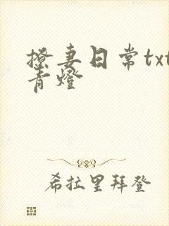 撩妻日常txt青灯封面