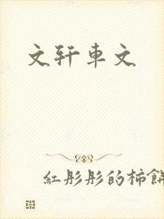 文轩车文封面