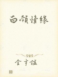 白领情缘