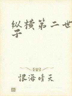 纵横第二世界宽子