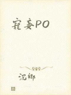 宠妾PO封面