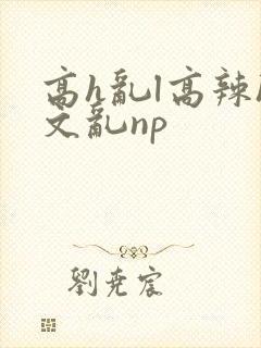 高h乱l高辣h文乱np封面