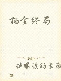 铂金终局封面