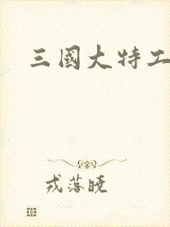 三国大特工