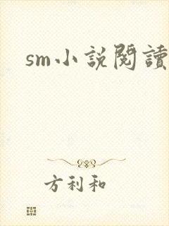 sm小说阅读