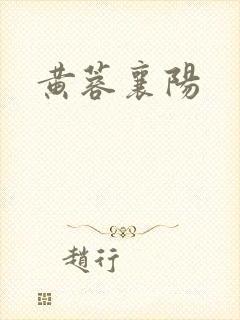 黄蓉襄阳封面