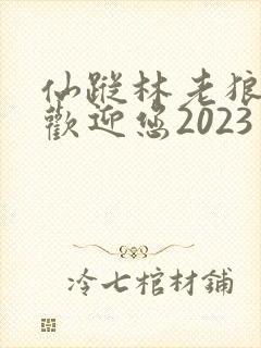 仙踪林老狼入口欢迎您2023封面