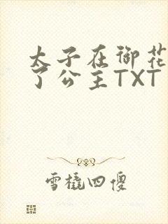 太子在御花园要了公主TXT封面