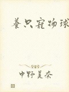 养只宠物球