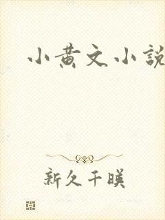 小黄文小说
