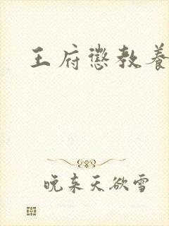 王府惩教养日常