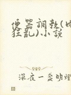 便器调教(肉体狂乱)小说