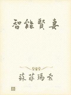 智能贤妻