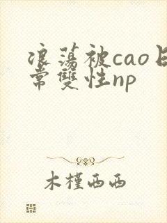 浪荡被cao日常双性np