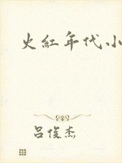 火红年代小说