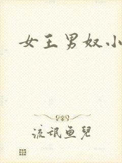 女王男奴小说