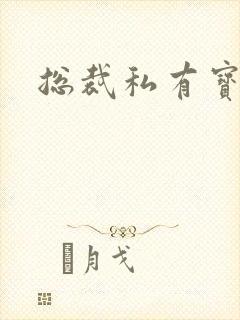 总裁私有宝贝