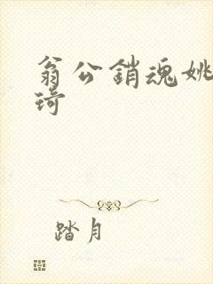 翁公销魂姚瑶琦琦