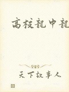 高校龙中龙封面