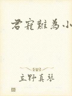 君宠难为小说