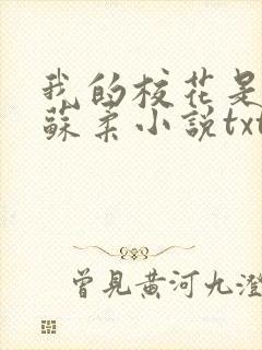 我的校花是福姬苏柔小说txt