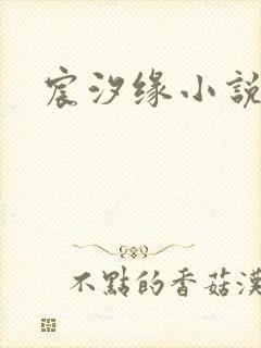 宸汐缘小说
