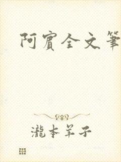 阿宾全文笔趣阁