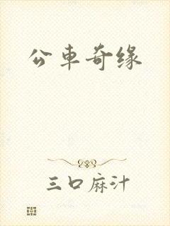 公车奇缘
