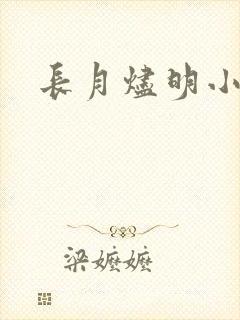长月烬明小说封面