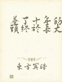 养了十年的小丫头终于长大了