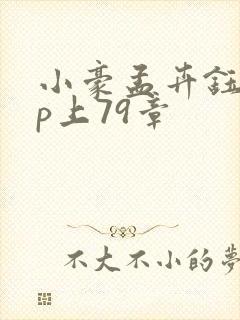小豪孟卉钰慧三p上79章