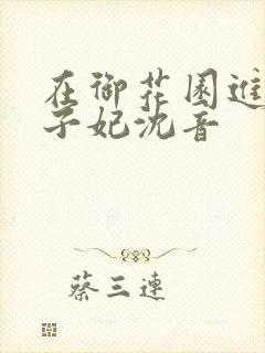 在御花园进入太子妃沈音