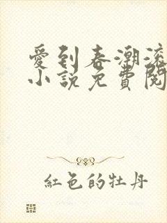 爱到春潮滚滚来小说免费阅读