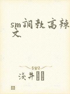 sm调教高辣h文