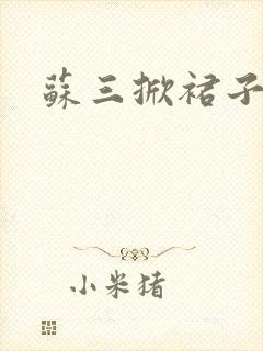 苏三掀裙子封面