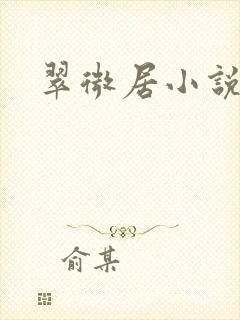 翠微居小说